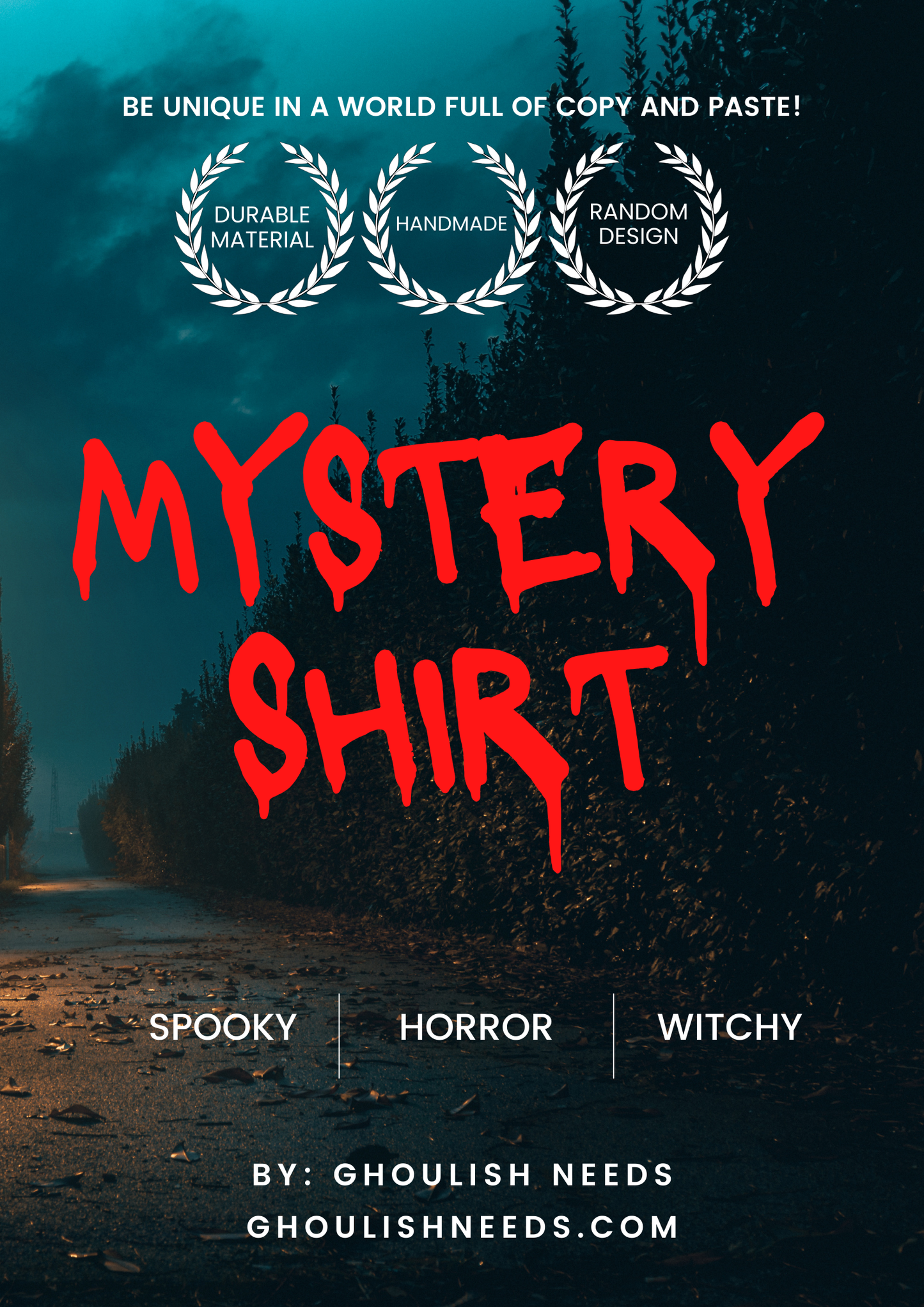 Mystery Shirt (THE MORE YOU BUY THE CHEAPER THEY ARE)