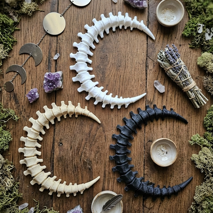 Vertebrae Crescent Moon Wall Decor